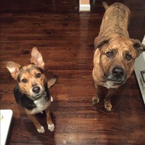 Meet your Posher, Kristin